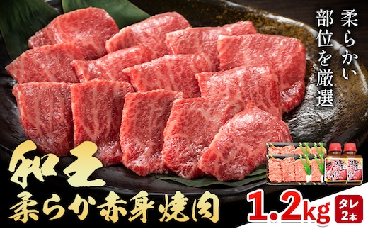 熊本県産A5等級和王 柔らか赤身焼肉 1.2kg タレ付き 2本 帝神志方ミート株式会社《90日以内に出荷予定(土日祝除く)》熊本県 菊池市 牛肉 肉 お肉 和牛 くまもと黒毛和牛 熊本県産 A5 和王 赤身 赤身肉 柔らか 厳選 焼肉 志方のたれ---0149-3011---