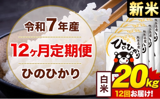 【12ヶ月定期便】新米 令和7年産 白米 20kg 米 ひのひかり《お申込み翌月から出荷》熊本県 菊池市 国産 熊本県産 白米 精米 無洗米 送料無料 ヒノヒカリ こめ お米---300-4255---