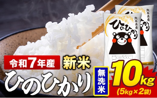 令和7年産 新米 無洗米 米 ひのひかり 10kg《7-14日以内に出荷予定(土日祝除く)》熊本県 菊池市 国産 熊本県産 精米 無洗米 送料無料 ヒノヒカリ こめ お米 ---300-4378---