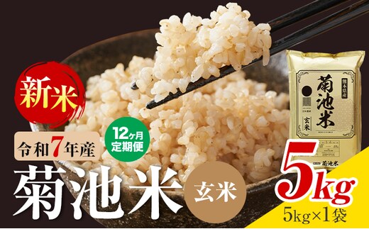 【12ヶ月定期便】熊本県産 菊池米 玄米 5kg 1袋5kg 米 お米 令和7年産 九州産 熊本県産 送料無料《お申込み翌月に出荷予定》玄米 米---026-5042---