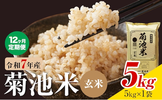 【12ヶ月定期便】熊本県産 菊池米 玄米 5kg 1袋5kg 米 お米 令和7年産 九州産 熊本県産 送料無料《お申込み翌月に出荷予定》玄米 米---026-5042---
