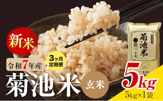 【3ヶ月定期便】熊本県産 菊池米 玄米 5kg 1袋5kg 米 お米 令和7年産 九州産 熊本県産 送料無料《お申込み翌月に出荷予定》玄米 米---026-5040---