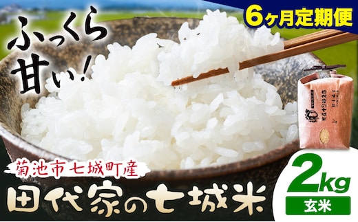 【6ヶ月定期便 】令和7年産 菊池市七城町産 田代家の七城米 七城ヒノヒカリ 玄米 2kg 田代こめや《お申込み翌月から出荷》熊本県 菊池市 米 お米 精米 ひのひかり 菊池市産 熊本県産 九州産 送料無料---323-5028---