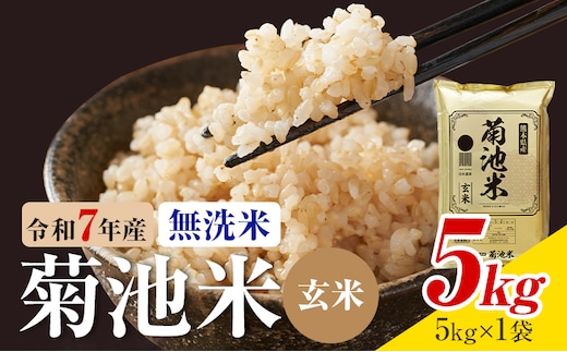 令和7年産 熊本県産 菊池米 無洗米 玄米 5kg 1袋5kg 株式会社くまもとごはん 《30日以内に出荷予定(土日祝除く)》米 お米 令和7年産 九州産 熊本県産 送料無料---026-3086---