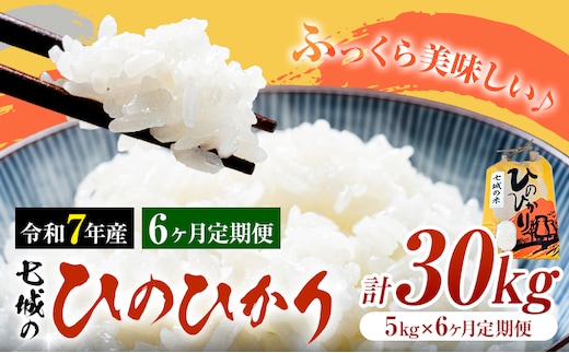 米 令和7年産 七城の ひのひかり 5kg 6ヶ月定期便 計30kg 有限会社草佳苑《90日以内に出荷予定(土日祝除く)》熊本県 菊池市 こめ 米 ひのひかり ブランド米 お米---311-0013---