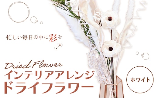 ドライフラワー インテリアアレンジ ホワイト 7種類12本以上 ドライフラワー アレンジ デザインおまかせ フラワーアレンジ インテリア ラッピング 花 送料無料《90日以内に出荷予定(土日祝除く)》---123-2470-W---
