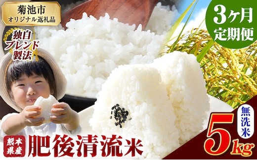【3ヶ月定期便】 熊本県産 肥後清流米 無洗米 5kg ブレンド米 熊本県産 ふるさと納税 精米 米 こめ ふるさとのうぜい コメ お米 おこめ《お申込み翌月から出荷》---300-4342---