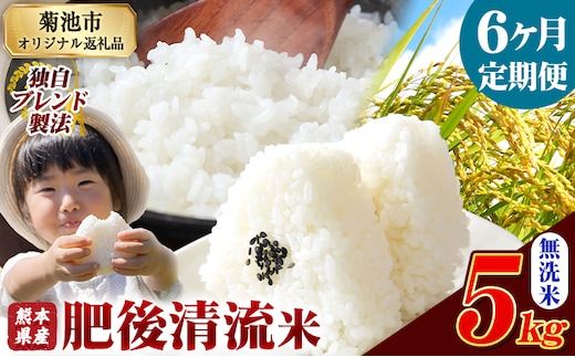 【6ヶ月定期便】 熊本県産 肥後清流米 無洗米 5kg ブレンド米 熊本県産 ふるさと納税 精米 米 こめ ふるさとのうぜい コメ お米 おこめ《お申込み翌月から出荷》---300-4350---