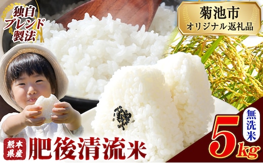 熊本県産 肥後清流米 無洗米 5kg ブレンド米 熊本県産 ふるさと納税 精米 米 こめ ふるさとのうぜい コメ お米 おこめ《7-14日以内に出荷予定(土日祝除く)》---300-4382---