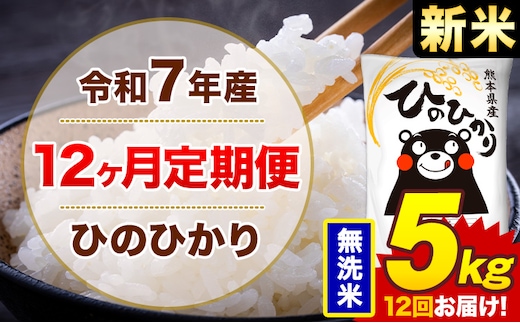 【12ヶ月定期便】新米 令和7年産 無洗米 5kg 米 ひのひかり《お申込み月の翌月から出荷開始》熊本県 菊池市 国産 熊本県産 白米 精米 無洗米 送料無料 ヒノヒカリ こめ お米---300-4258---