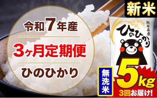 【3ヶ月定期便】令和7年産 新米 無洗米 5kg 米 ひのひかり《お申込み月の翌月から出荷開始》熊本県 菊池市 国産 熊本県産 白米 精米 無洗米 送料無料 ヒノヒカリ こめ お米---300-4256---