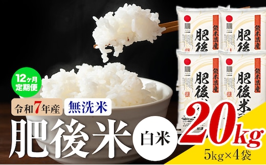 【12ヶ月定期便】熊本県産 肥後米 無洗米 白米 20kg 1袋5kg 米 お米 令和7年産 九州産 熊本県産 送料無料《お申込み翌月に出荷予定》 無洗米 白米 米---026-3007mo12---