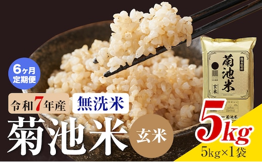 【6ヶ月定期便】熊本県産 菊池米 玄米 無洗米 5kg 1袋5kg 米 お米 令和7年産 九州産 熊本県産 送料無料《お申込み翌月に出荷予定》玄米 米---026-3119mo6---