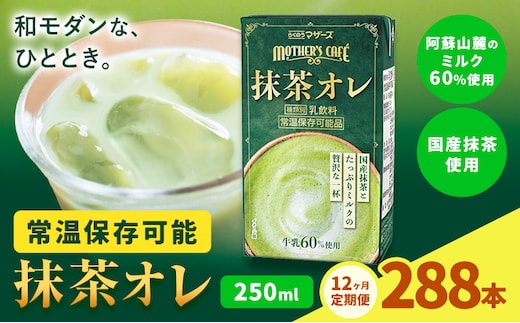【12ヶ月定期便】250ml×24本／月×12回（計288本） 抹茶・オ・レ 合同会社たべたせいか《お申し込みの翌月から出荷》 抹茶オーレ 抹茶オレ 抹茶ミルク 抹茶 抹茶 乳製品 乳飲料 クロレラ 飲み物 飲料 常温保存 お取り寄せ 国産抹茶 熊本県産 菊池市 送料無料---0016-3163---