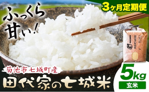【3ヶ月定期便】令和7年産 菊池市七城町産 田代家の七城米 七城ヒノヒカリ 玄米 5kg 田代こめや《お申込み翌月から出荷》熊本県 菊池市 米 お米 精米 ひのひかり 菊池市産 熊本県産 九州産 送料無料---323-5017---