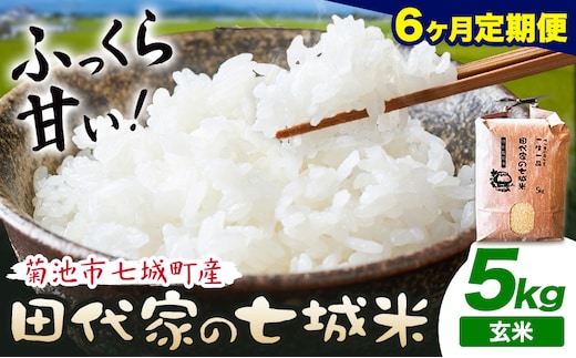 【6ヶ月定期便 】令和7年産 菊池市七城町産 田代家の七城米 七城ヒノヒカリ 玄米 5kg 田代こめや《お申込み翌月から出荷》熊本県 菊池市 米 お米 精米 ひのひかり 菊池市産 熊本県産 九州産 送料無料---323-5029---