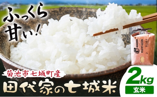 令和7年産 菊池市七城町産 田代家の七城米 七城ヒノヒカリ玄米 2kg 田代こめや《30日以内に出荷予定(土日祝除く)》熊本県 菊池市 米 お米 精米 ひのひかり 菊池市産 熊本県産 九州産 送料無料---323-5004---