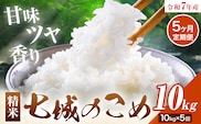 【5ヶ月定期便】令和7年産 七城のこめ 精米 5kg×2袋/月×5回 計50kg ヒノヒカリ ひのひかり 有限会社七城町特産品センター 《お申し込み月の翌月から出荷開始》 熊本県 菊池市 定期便 お米 米 白米 九州産 熊本県産---003-0297---