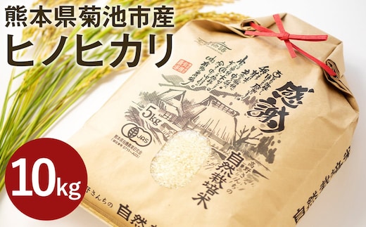 【通常パッケージ】熊本県菊池産 ヒノヒカリ 精米 計10kg（2.5kg×4パック）七城物語 高野さんちの自然栽培米 米 お米 こめ コメ《30日以内に出荷予定(土日祝除く)》---045-3007---