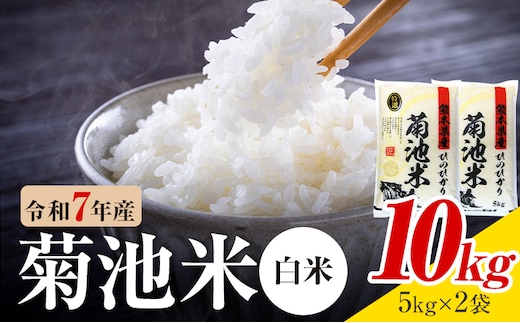 令和7年産 熊本県産 菊池米 白米 10kg 1袋5kg 株式会社くまもとごはん 《30日以内に出荷予定(土日祝除く)》米 お米 令和7年産 九州産 熊本県産 送料無料---026-5031---