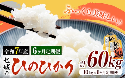 米 令和7年産 七城の ひのひかり 10kg 6ヶ月定期便 計60kg 有限会社草佳苑《90日以内に出荷予定(土日祝除く)》熊本県 菊池市 こめ 米 ひのひかり ブランド米 お米---311-0014---