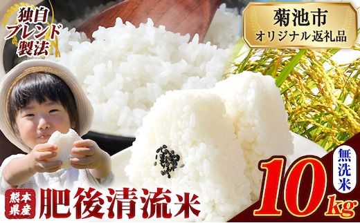熊本県産 肥後清流米 無洗米 10kg ブレンド米 熊本県産 ふるさと納税 精米 米 こめ ふるさとのうぜい コメ お米 おこめ《12月中旬-2月末頃出荷》---300-4224---