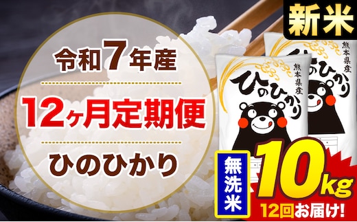 【12ヶ月定期便】新米 令和7年産 無洗米 10kg 米 ひのひかり《お申込み翌月から出荷》熊本県 菊池市 国産 熊本県産 白米 精米 無洗米 送料無料 ヒノヒカリ こめ お米---300-4261---