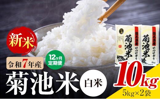 【12ヶ月定期便】熊本県産 菊池米 白米 10kg 1袋5kg 米 お米 令和7年産 九州産 熊本県産 送料無料《お申込み翌月に出荷予定》 白米 米---026-5034---