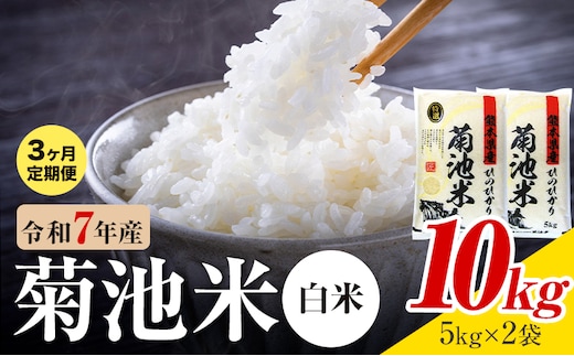 【3ヶ月定期便】熊本県産 菊池米 白米 10kg 1袋5kg 米 お米 令和7年産 九州産 熊本県産 送料無料《お申込み翌月に出荷予定》 白米 米---026-5032---