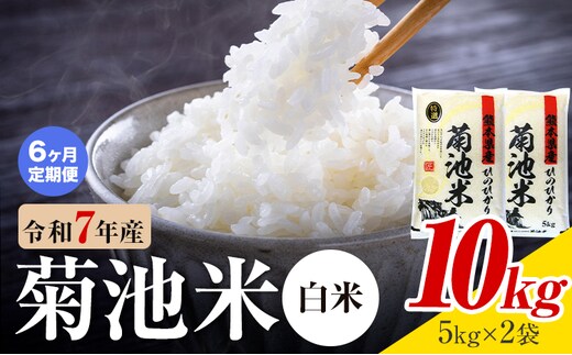 【6ヶ月定期便】熊本県産 菊池米 白米 10kg 1袋5kg 米 お米 令和7年産 九州産 熊本県産 送料無料《お申込み翌月に出荷予定》 白米 米---026-5033---
