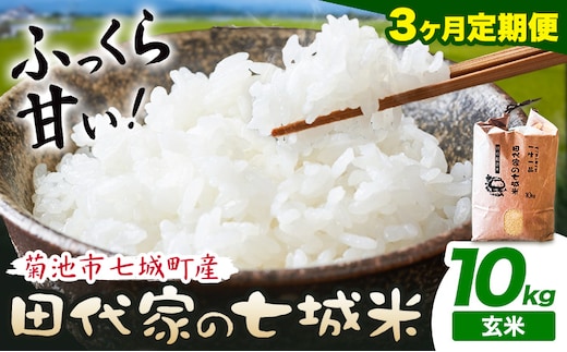 【3ヶ月定期便】令和7年産 菊池市七城町産 田代家の七城米 七城ヒノヒカリ 玄米 10kg 田代こめや《お申込み翌月から出荷》熊本県 菊池市 米 お米 精米 ひのひかり 菊池市産 熊本県産 九州産 送料無料---323-5018---