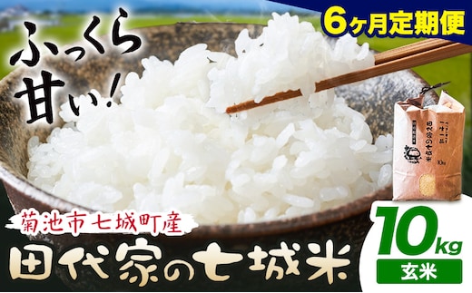 【6ヶ月定期便 】令和7年産 菊池市七城町産 田代家の七城米 七城ヒノヒカリ 玄米 10kg 田代こめや《お申込み翌月から出荷》熊本県 菊池市 米 お米 精米 ひのひかり 菊池市産 熊本県産 九州産 送料無料---323-5030---
