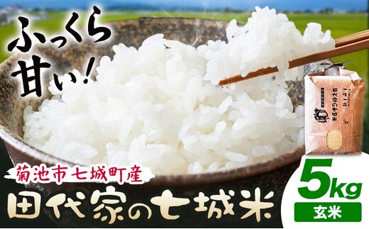 令和7年産 菊池市七城町産 田代家の七城米 七城ヒノヒカリ玄米 5kg 田代こめや《30日以内に出荷予定(土日祝除く)》熊本県 菊池市 米 お米 精米 ひのひかり 菊池市産 熊本県産 九州産 送料無料---323-5005---