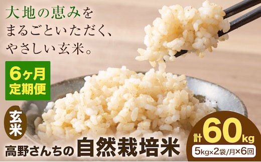 【6ヶ月定期便】令和7年産 高野さんちの自然栽培米 玄米 計60kg(5kg×2袋/月×6回) 《通常パッケージ》株式会社有機農場《お申し込み月の翌月から出荷開始》熊本県 菊池市 米 お米 ヒノヒカリ ひのひかり 自然栽培米 七城物語 熊本県産---045-3037---