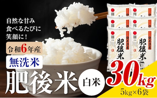 熊本県産 肥後米 無洗米 白米 30kg 1袋5kg 米 お米 令和6年産 九州産 熊本県産 ブレンド米 送料無料《30日以内に出荷予定（土日祝除く）》 無洗米 白米 米---026-3015---