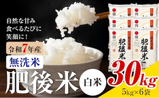 熊本県産 肥後米 無洗米 白米 30kg 1袋5kg 米 お米 令和7年産 九州産 熊本県産 ブレンド米 送料無料《30日以内に出荷予定（土日祝除く）》 無洗米 白米 米---026-3015---