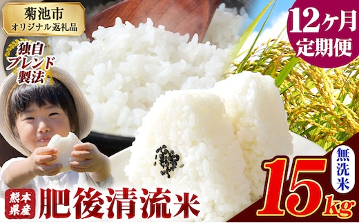 【12ヶ月定期便】 熊本県産 肥後清流米 無洗米 15kg ブレンド米 熊本県産 ふるさと納税 精米 米 こめ ふるさとのうぜい コメ お米 おこめ《お申込み翌月から出荷》---300-4370---