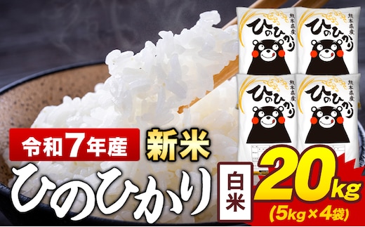 令和7年産 新米 白米 米 ひのひかり 20kg《12月中旬-2月末頃出荷》熊本県 菊池市 国産 熊本県産 白米 精米 送料無料 ヒノヒカリ こめ お米 ---kikuchi_lcl_270_20kg---