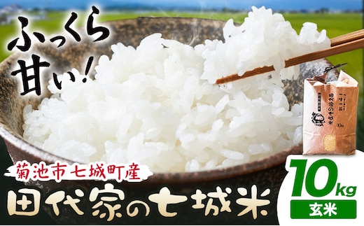 令和7年産 菊池市七城町産 田代家の七城米 七城ヒノヒカリ玄米 10kg 田代こめや《30日以内に出荷予定(土日祝除く)》熊本県 菊池市 米 お米 精米 ひのひかり 菊池市産 熊本県産 九州産 送料無料---323-5006---