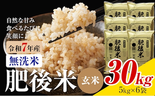 熊本県産 肥後米 無洗米 玄米 30kg 1袋5kg 米 お米 令和7年産 九州産 熊本県産 ブレンド米 送料無料《30日以内に出荷予定（土日祝除く）》玄米 無洗米 米---026-3016---