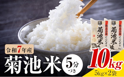 令和7年産 熊本県産 菊池米 5分づき 10kg 1袋5kg 株式会社くまもとごはん 《30日以内に出荷予定(土日祝除く)》米 お米 令和7年産 九州産 熊本県産 送料無料---026-3084---