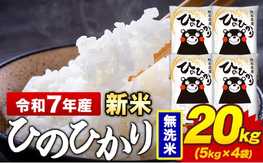 令和7年産 新米 無洗米 米 ひのひかり 20kg《7-14日以内に出荷予定(土日祝除く)》熊本県 菊池市 国産 熊本県産 精米 無洗米 送料無料 ヒノヒカリ こめ お米 ---300-4380---
