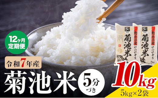 【12ヶ月定期便】令和7年産 熊本県産 菊池米 5分づき 10kg 1袋5kg 株式会社くまもとごはん 《お申込み翌月に出荷予定》米 お米 令和7年産 九州産 熊本県産 送料無料---026-3132mo12---
