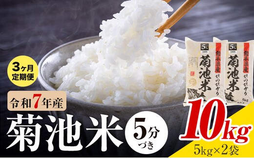 【3ヶ月定期便】令和7年産 熊本県産 菊池米 5分づき 10kg 1袋5kg 株式会社くまもとごはん 《お申込み翌月に出荷予定》米 お米 令和7年産 九州産 熊本県産 送料無料---026-3126mo3---