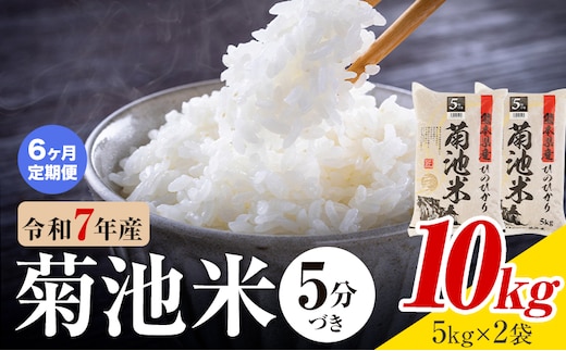 【6ヶ月定期便】令和7年産 熊本県産 菊池米 5分づき 10kg 1袋5kg 株式会社くまもとごはん 《お申込み翌月に出荷予定》米 お米 令和7年産 九州産 熊本県産 送料無料---026-3129mo6---