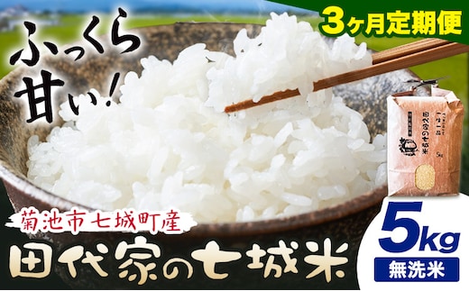 【3ヶ月定期便】令和7年産 菊池市七城町産 田代家の七城米 七城ヒノヒカリ 無洗米 5kg 田代こめや《お申込み翌月から出荷》熊本県 菊池市 米 お米 精米 ひのひかり 菊池市産 熊本県産 九州産 送料無料---323-5020---