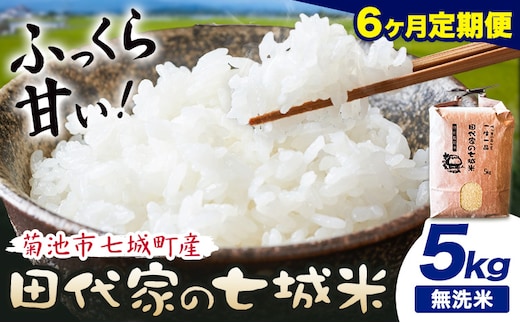 【6ヶ月定期便 】令和7年産 菊池市七城町産 田代家の七城米 七城ヒノヒカリ 無洗米 5kg 田代こめや《お申込み翌月から出荷》熊本県 菊池市 米 お米 精米 ひのひかり 菊池市産 熊本県産 九州産 送料無料---323-5032---