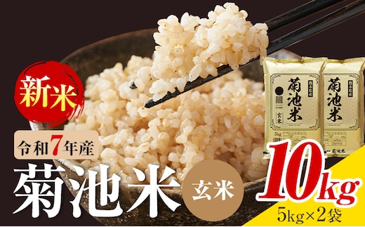 令和7年産 熊本県産 菊池米 玄米 10kg 1袋5kg 株式会社くまもとごはん 《30日以内に出荷予定(土日祝除く)》米 お米 令和7年産 九州産 熊本県産 送料無料---026-5043---
