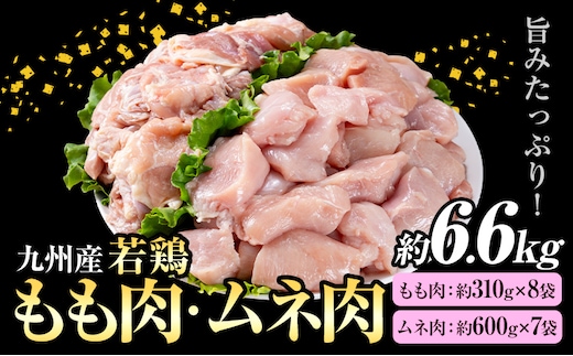 九州産 若鶏もも肉 約2.48kg(約310g×8袋)、若鶏むね肉 約4.2kg(約600g×7袋)合計約6.6kg《30日以内に出荷予定(土日祝除く)》---146-2155---
