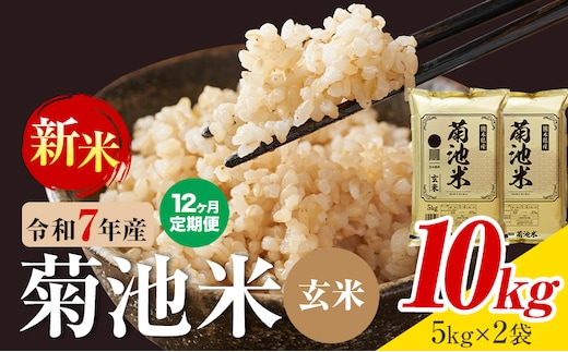 【12ヶ月定期便】熊本県産 菊池米 玄米 10kg 1袋5kg 米 お米 令和7年産 九州産 熊本県産 送料無料《お申込み翌月に出荷予定》玄米 米---026-5046---